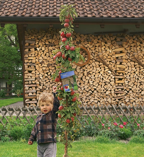 BAUMSCHULE OBSTJA